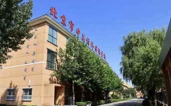 北京中關(guān)村外國(guó)語(yǔ)學(xué)校2025年招生詳解：HSC課程、學(xué)費(fèi)及升學(xué)路徑