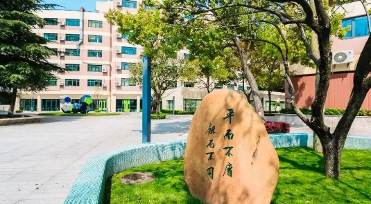 平和哲學、世外二外、WLSA上海菁英課程......盤點上海國際學校“殺手锏”課程！