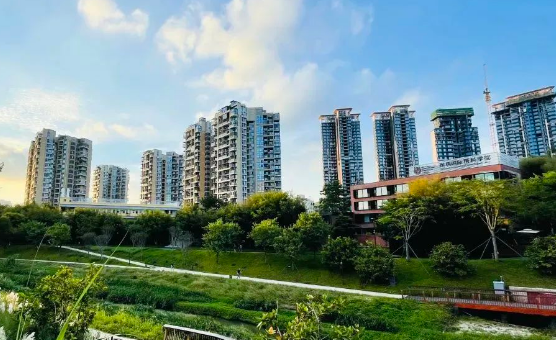 深圳IPC國際校區(qū)